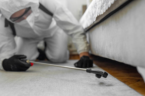 Professional Bed Bug Control technician working in Roessleville, NY